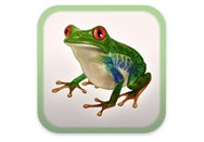 Grasshopper unveils charity iOS game Frog Minutes