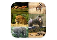 Review: Safari Animals HD for iPad