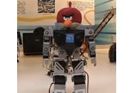 Angry Birds robots under Wi-Fi control