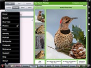 Review: Two iOS bird-watching apps