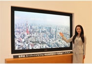 Sharp develops super high-def screen for future TV