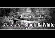 iOS Review: Dramatic Black & White masters monochrome