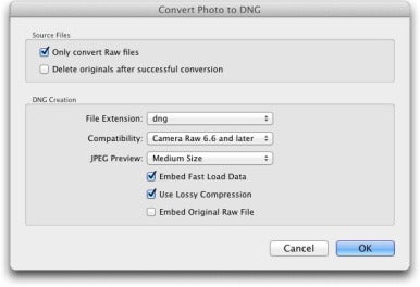 option in the convert photo to dng dialog