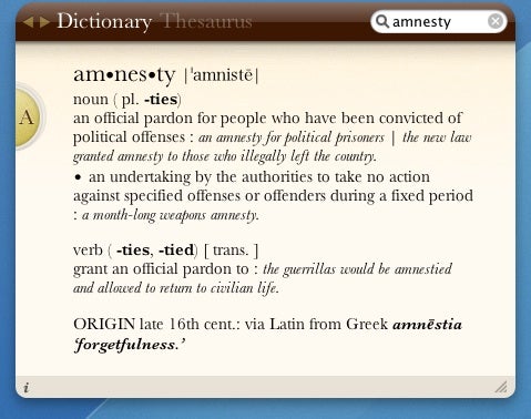 Amnesty Singles Dictionary