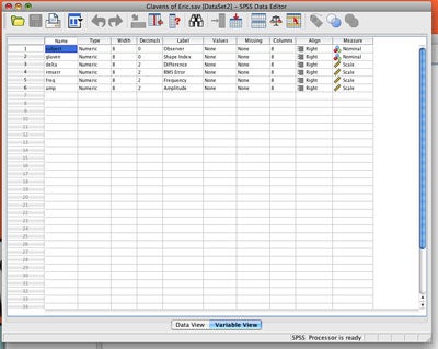 The program maintains the traditional SPSS layout, but it isn't quite as aesthetically pleasing as most native Mac programs.