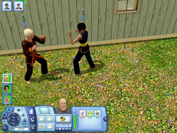 Sims 3 How Do You Excavate