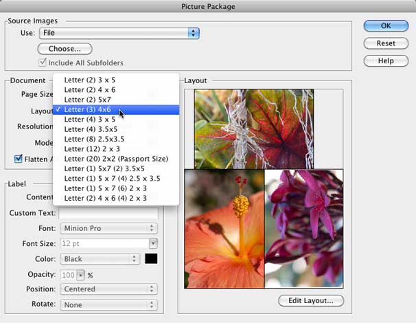 mac preview print multiple pictures one page