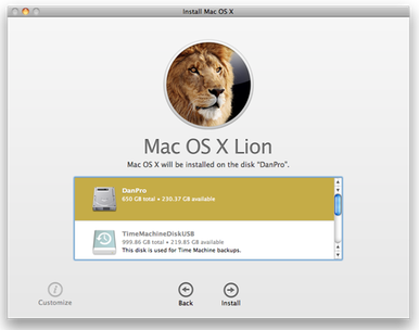 lion installer