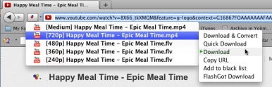 video download safari extension