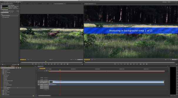 explain difference warp stabilization option adobe premiere pro cc