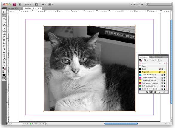 indesign-tip-tinting-grayscale-photos-macworld