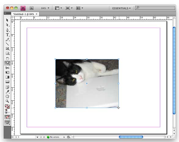 indesign resize image