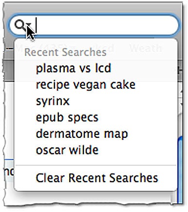 The Recent Searches menu