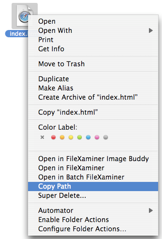 FileXaminer Copy Path