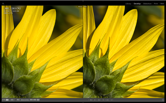 Lightroom's Clarity in action (2)