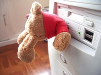 Teddy Bear Flash