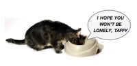 Chatterbowl