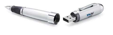 DiskGo USB 2.0 Flash Drive Plus Ink Pen