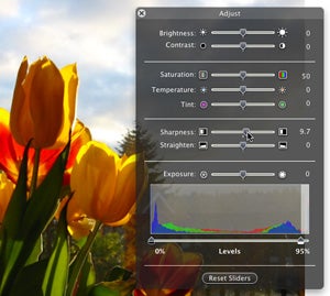 iPhoto 5 Adjust palette