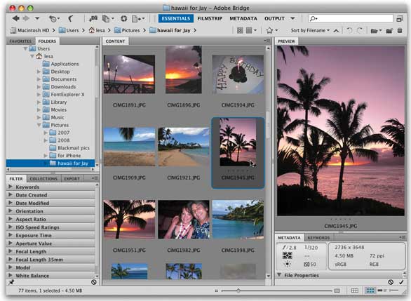 download adobe bridge cs5 free mac