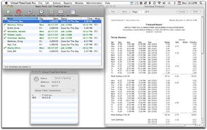 virtual timeclock pro add computer licenses