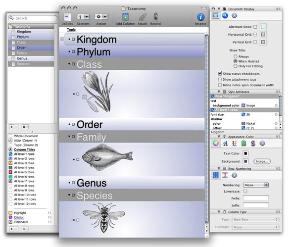 omnioutliner essentials vs pro