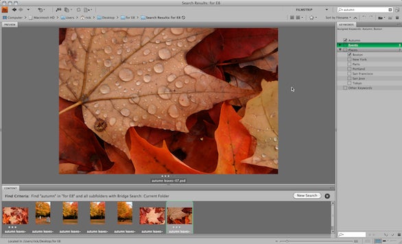 adobe photoshop elements 8 mac download