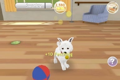 Pet Show Craze > iPad, iPhone, Android, Mac & PC Game